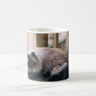 Café Taza con la foto de un gato Himalayan