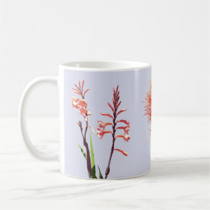 Café Taza con las flores de Cape Town