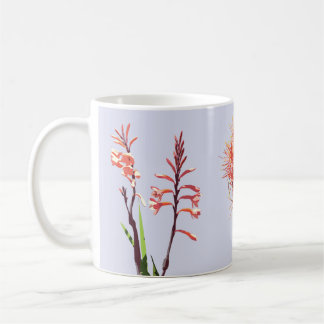 Café Taza con las flores de Cape Town