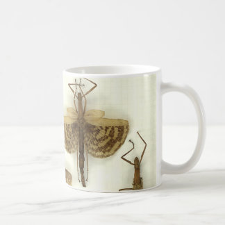 Café Taza con los insectos de palillo
