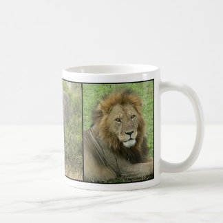 Café Taza de África