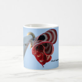Café Taza de América