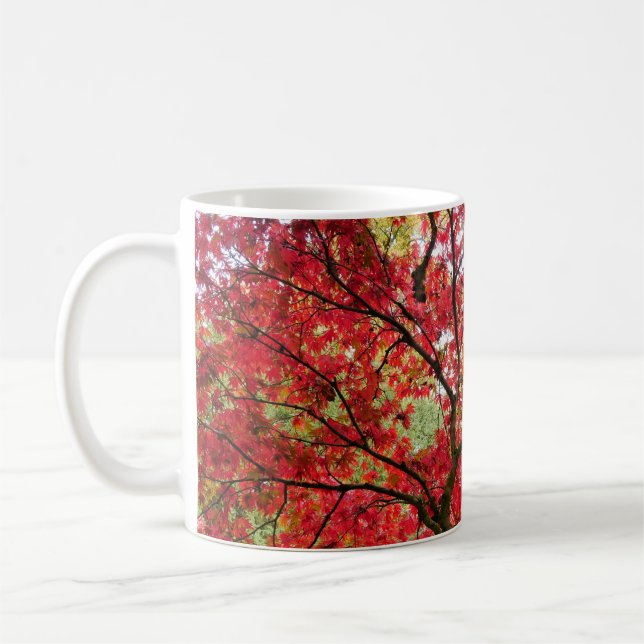 Café Taza de Arce Japonés (Izquierda)