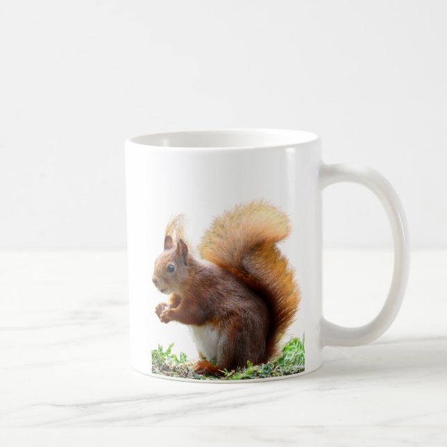 Café Taza de Ardilla Curiosa (Derecha)