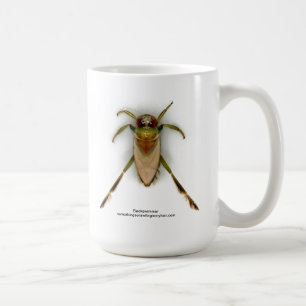 Café Taza de Backswimmer