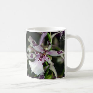 Café Taza de Beallara de la orquídea