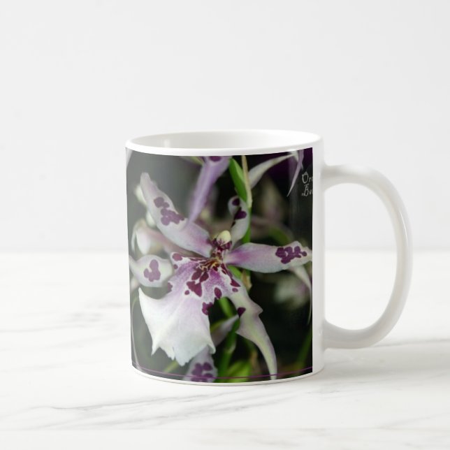 Café Taza de Beallara de la orquídea (Derecha)