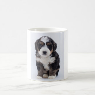 Café Taza de Bernedoodle