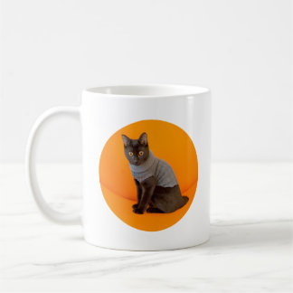 Café Taza de Beverly