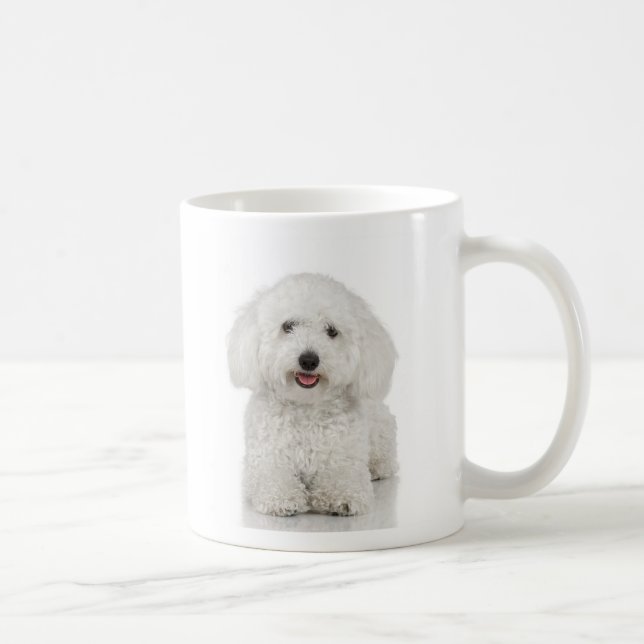 Café Taza de Bichon Frise (Derecha)