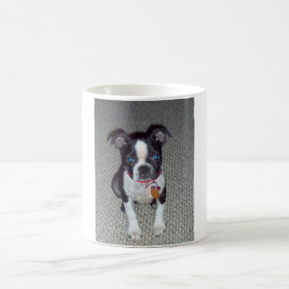 Café Taza de Boston Terrier