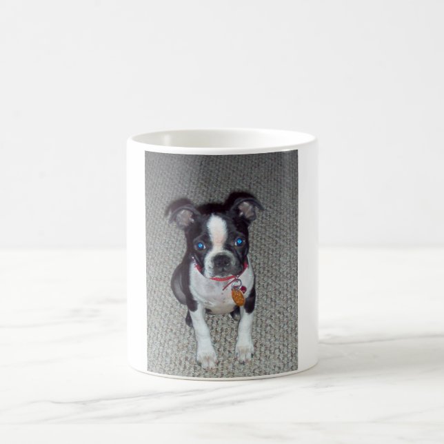 Café Taza de Boston Terrier (Centro)