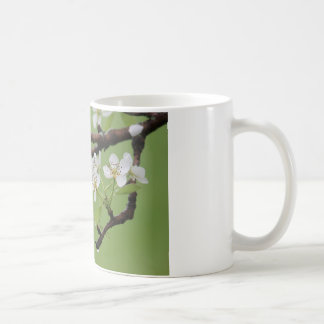 Café Taza de café:  Placer usted mismo en el señor