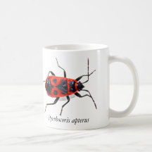 Taza de chinche roja