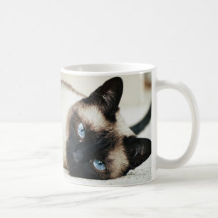 Café Taza de Coffe del gato siamés