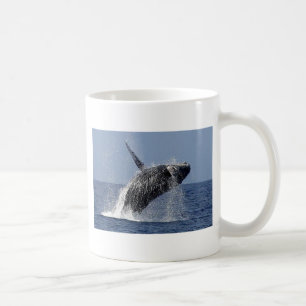 Café Taza de Coofee de la ballena jorobada