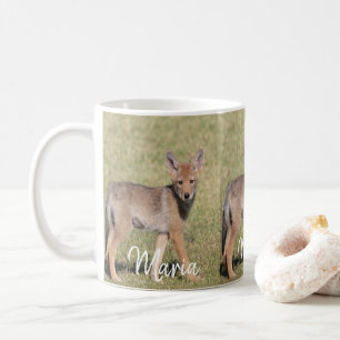 Café Taza de Coyote