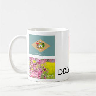 CAFÉ TAZA DE DELAWARE