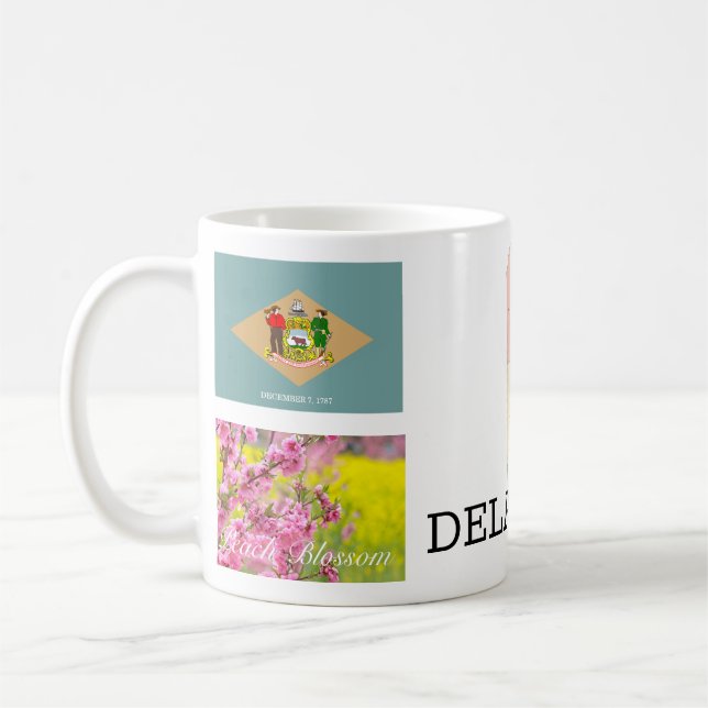 CAFÉ TAZA DE DELAWARE (Izquierda)