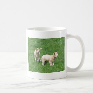 Café Taza de dos corderos