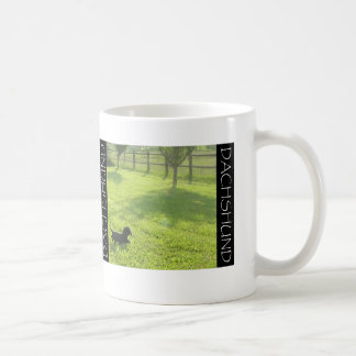 Café Taza de Doxie