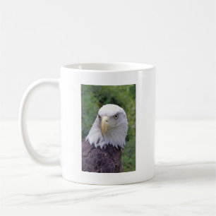 Café Taza de Eagle calvo