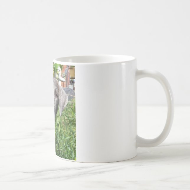 Café Taza de encaje azul sonriente (Derecha)