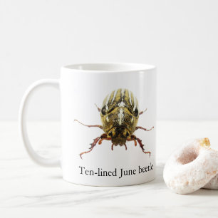 Café Taza de Escarabajo de Junio de Diez Líneas