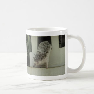 Café taza de exploración del hh