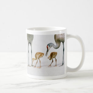 Café Taza de Famiy de la grúa de Sandhill