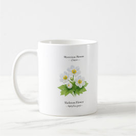 Café Taza de Flor de Esqueleto – Diphylleia grayi