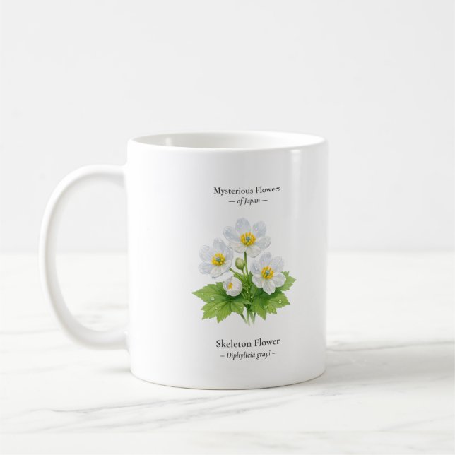 Café Taza de Flor de Esqueleto – Diphylleia grayi (Izquierda)
