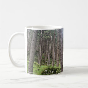 Café Taza de fotografía de bosque iluminado por el sol 