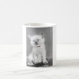 Café Taza de gatito adorable