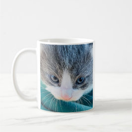 Café Taza de gato, estado de ánimo matutino, taza diver