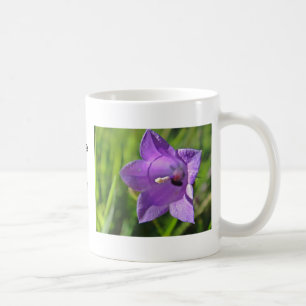 Café Taza de Glokenblumen lilas: a have nice day
