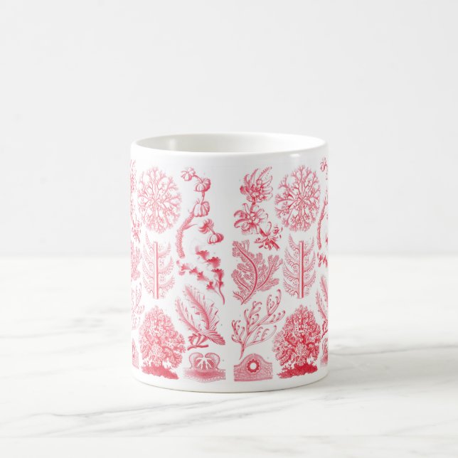 Café Taza de Haeckel Florideae (Centro)