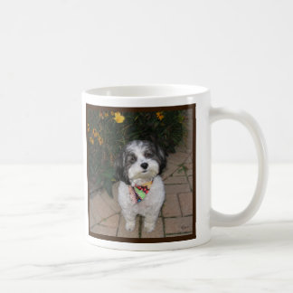 Café Taza de Havanese con las flores