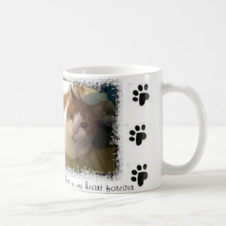 Café Taza de Horton