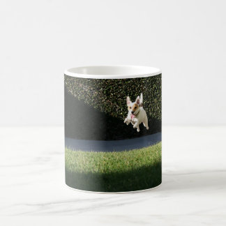 Café Taza de Jack que vuela Russell