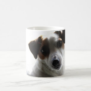 Café Taza de Jack Russell