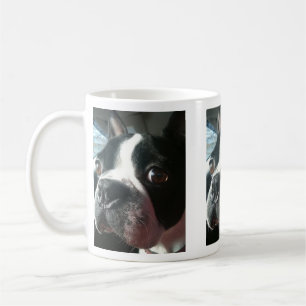 Café Taza de Jake