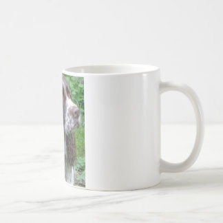 Café Taza de "K.D."