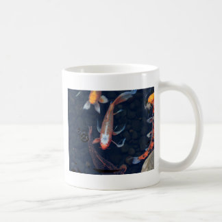 Café Taza de Koi