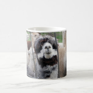 Café Taza de la alpaca:)