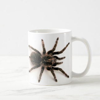 Café Taza de la araña del Tarantula