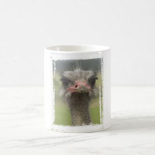 Café Taza de la avestruz