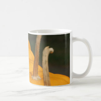 Café Taza de la calabaza