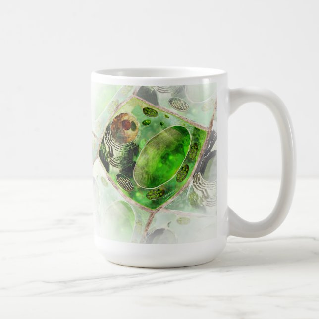 Café Taza de la célula de la planta (Derecha)