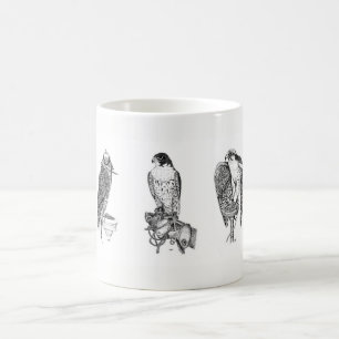 Café Taza de la cetrería